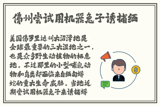 榴莲视频资源在线观看